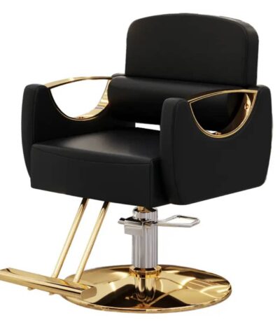Stylish Hair Chair
